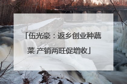 伍光豪：返乡创业种蔬菜 产销两旺促增收