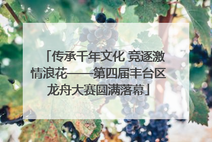传承千年文化 竞逐激情浪花——第四届丰台区龙舟大赛圆满落幕
