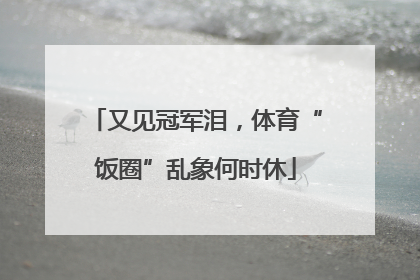 又见冠军泪，体育“饭圈”乱象何时休