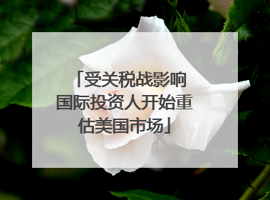 受关税战影响 国际投资人开始重估美国市场