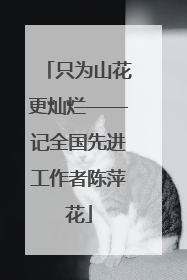只为山花更灿烂——记全国先进工作者陈萍花