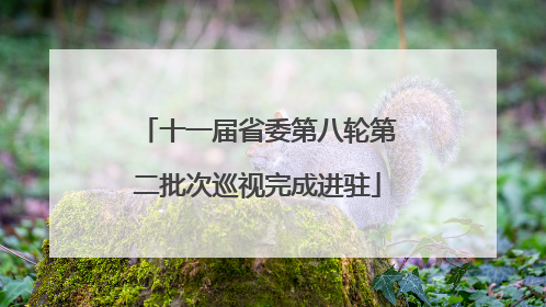 十一届省委第八轮第二批次巡视完成进驻