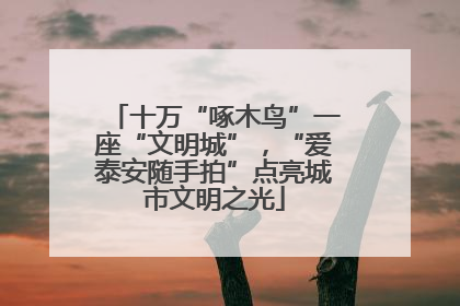 十万“啄木鸟”一座“文明城”，“爱泰安随手拍”点亮城市文明之光