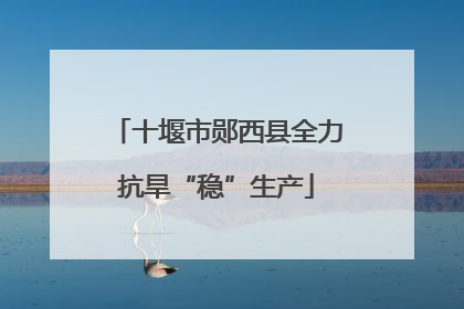十堰市郧西县全力抗旱“稳”生产