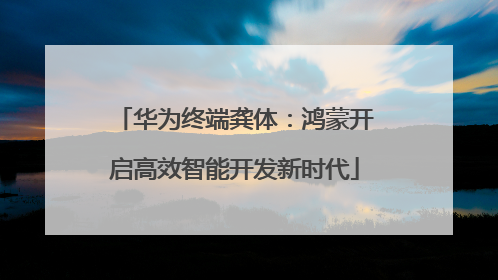 华为终端龚体：鸿蒙开启高效智能开发新时代