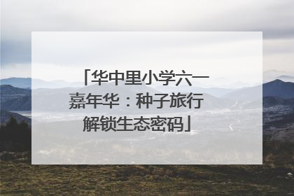 华中里小学六一嘉年华：种子旅行解锁生态密码