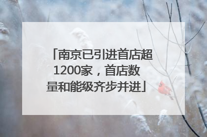 南京已引进首店超1200家，首店数量和能级齐步并进