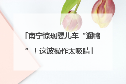南宁惊现婴儿车“遛鸭”！这波操作太吸睛