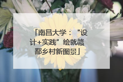 南昌大学：“设计+实践”绘就赣鄱乡村新图景