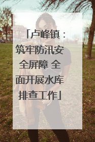 卢峰镇：筑牢防汛安全屏障 全面开展水库排查工作