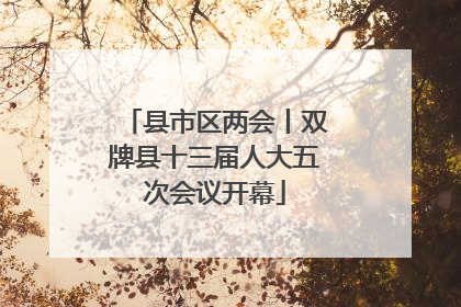 县市区两会丨双牌县十三届人大五次会议开幕