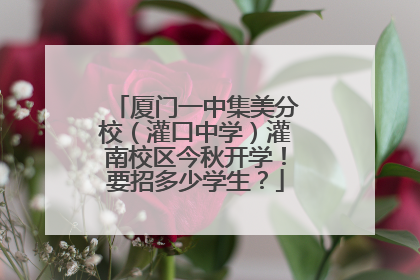 厦门一中集美分校（灌口中学）灌南校区今秋开学！要招多少学生？
