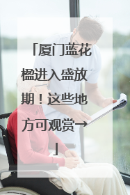 厦门蓝花楹进入盛放期！这些地方可观赏→