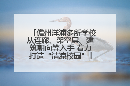 儋州洋浦多所学校从连廊、架空层、建筑朝向等入手 着力打造“清凉校园”