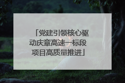 党建引领核心驱动庆章高速一标段项目高质量推进