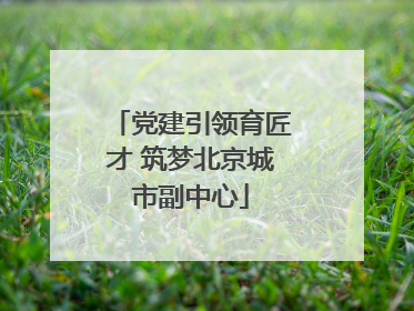 党建引领育匠才 筑梦北京城市副中心