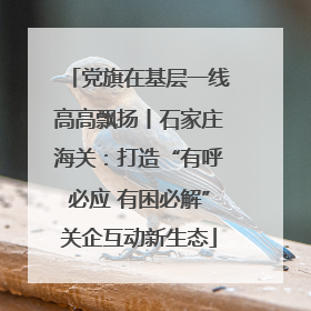 党旗在基层一线高高飘扬丨石家庄海关：打造“有呼必应 有困必解”关企互动新生态