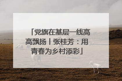 党旗在基层一线高高飘扬丨张桂芳：用青春为乡村添彩