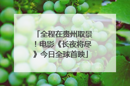 全程在贵州取景！电影《长夜将尽》今日全球首映