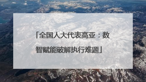 全国人大代表高亚：数智赋能破解执行难题