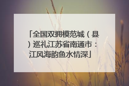 全国双拥模范城（县）巡礼江苏省南通市：江风海韵鱼水情深