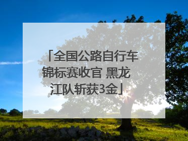 全国公路自行车锦标赛收官 黑龙江队斩获3金