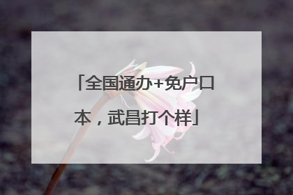 全国通办+免户口本，武昌打个样