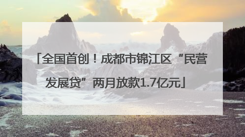 全国首创！成都市锦江区“民营发展贷”两月放款1.7亿元