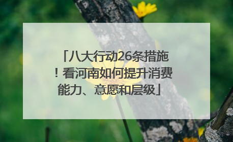 八大行动26条措施！看河南如何提升消费能力、意愿和层级