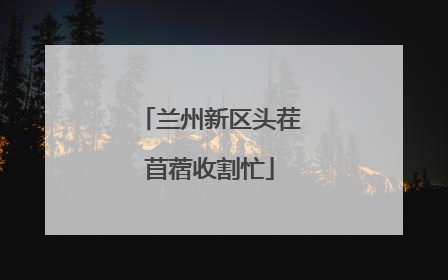 兰州新区头茬苜蓿收割忙