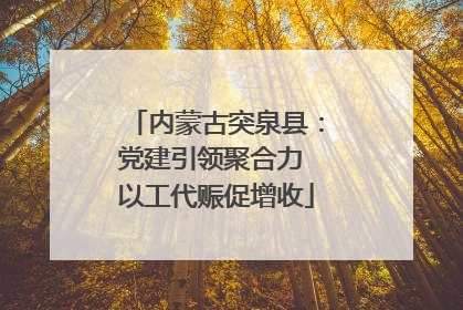 内蒙古突泉县：党建引领聚合力 以工代赈促增收