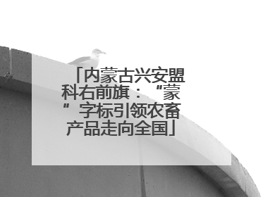 内蒙古兴安盟科右前旗：“蒙”字标引领农畜产品走向全国