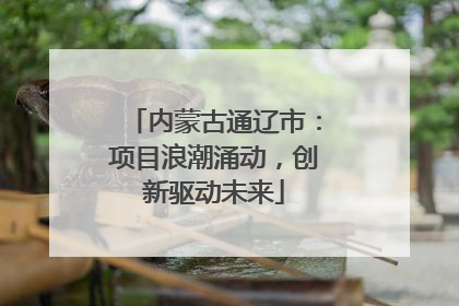内蒙古通辽市：项目浪潮涌动，创新驱动未来