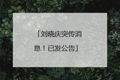 刘晓庆突传消息！已发公告
