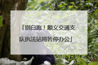 别白跑！顺义交通支队执法站将暂停办公