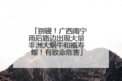 别碰！广西南宁雨后路边出现大量非洲大蜗牛和福寿螺！有致命危害