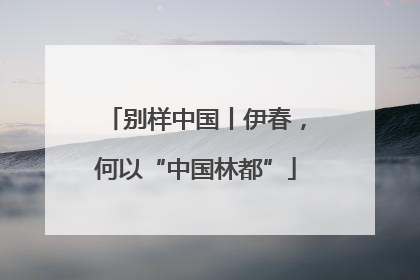 别样中国丨伊春，何以“中国林都”