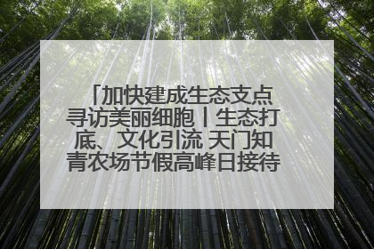 加快建成生态支点 寻访美丽细胞丨生态打底、文化引流 天门知青农场节假高峰日接待游客2万人次