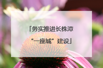 务实推进长株潭“一座城”建设