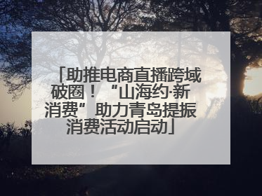 助推电商直播跨域破圈！“山海约·新消费”助力青岛提振消费活动启动
