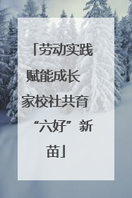 劳动实践赋能成长 家校社共育“六好”新苗