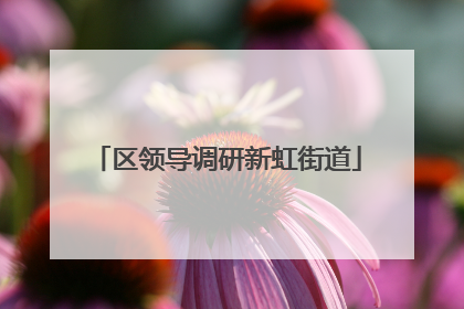区领导调研新虹街道