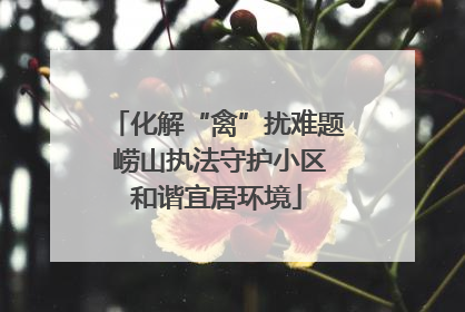 化解“禽”扰难题 崂山执法守护小区和谐宜居环境