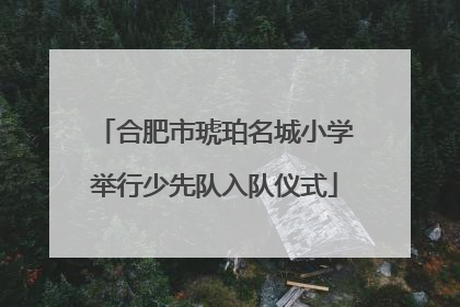 合肥市琥珀名城小学举行少先队入队仪式