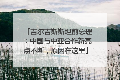 吉尔吉斯斯坦前总理：中国与中亚合作新亮点不断，原因在这里