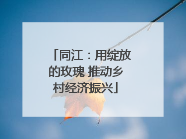 同江：用绽放的玫瑰 推动乡村经济振兴