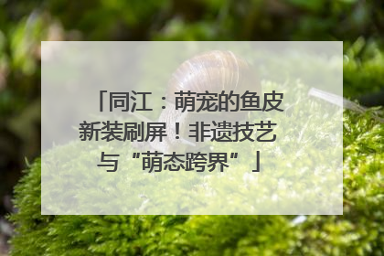 同江：萌宠的鱼皮新装刷屏！非遗技艺与“萌态跨界”