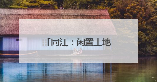 同江：闲置土地“逆袭”记 万寿菊“C位出道”