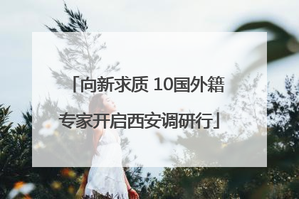 向新求质 10国外籍专家开启西安调研行