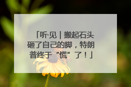 听·见｜搬起石头砸了自己的脚，特朗普终于“慌”了！